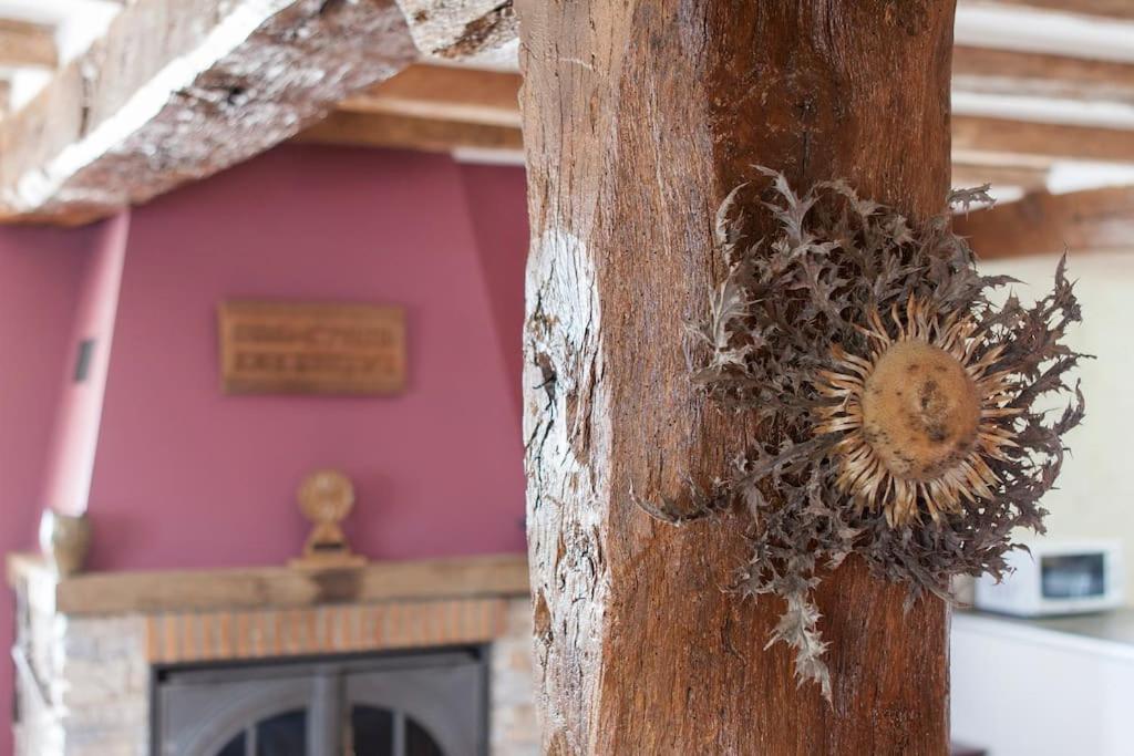 Casa Rural Enekoizar Abaurrea Alta Kültér fotó